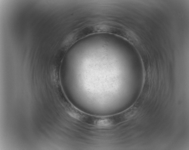 X0000067870173200604131246