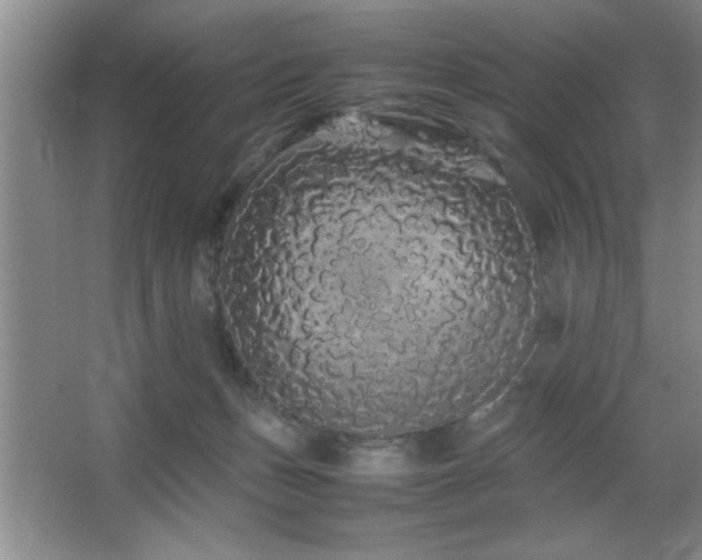 X0000067870175200604131246