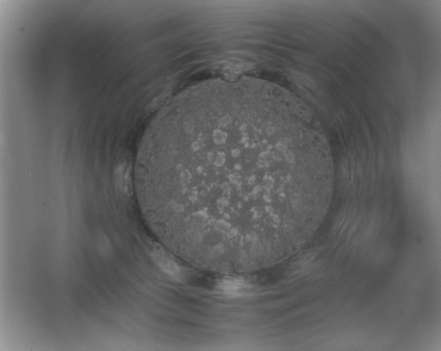 X0000067870177200604131246