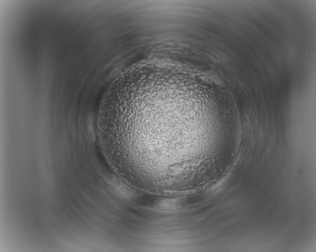 X0000067870178200604131246