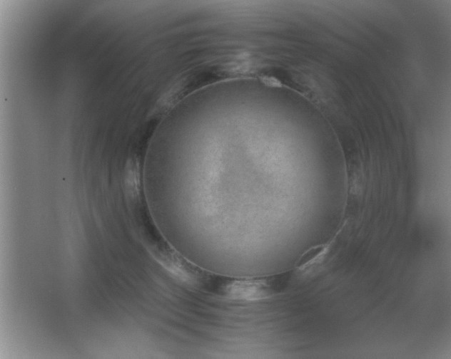 X0000067870179200604131246