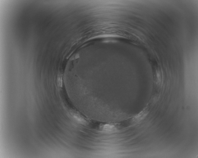 X0000067870180200604131246