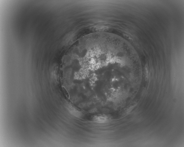 X0000067870181200604131246