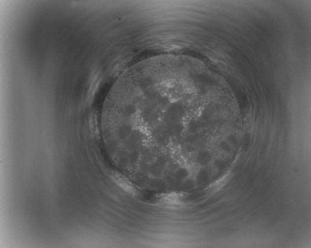 X0000067870182200604131246