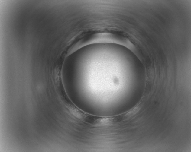 X0000067870184200604131246