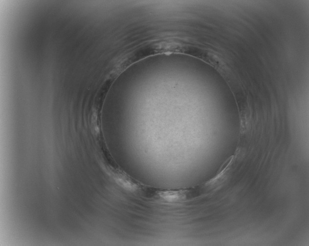 X0000067870187200604131246