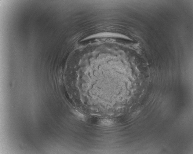 X0000067870189200604131246