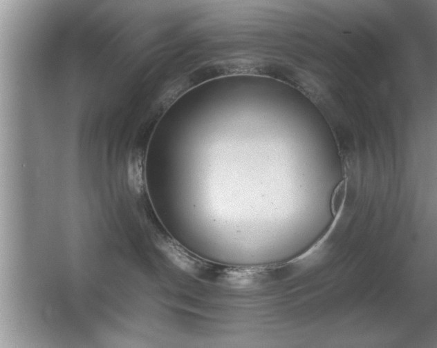 X0000067870190200604131246