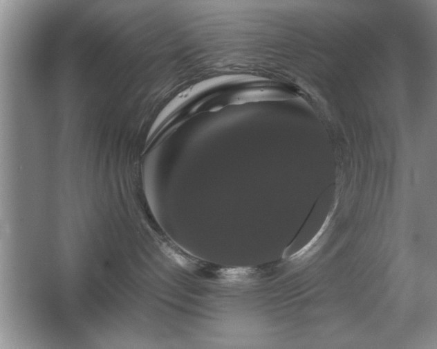 X0000067870192200604131246