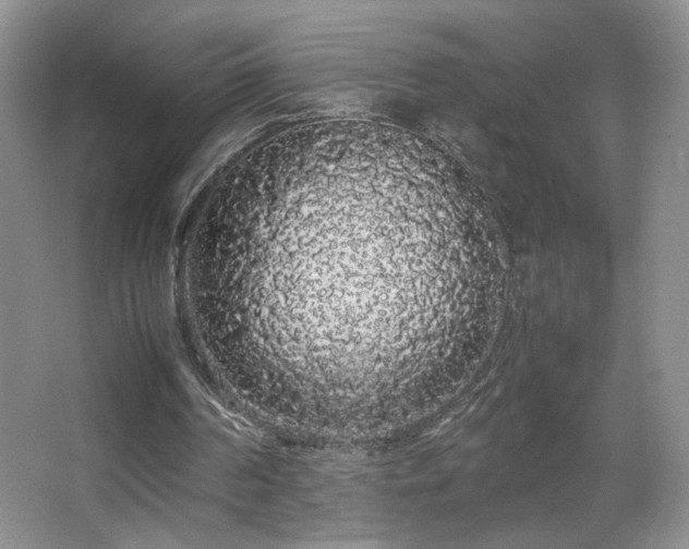 X0000067870194200604131245