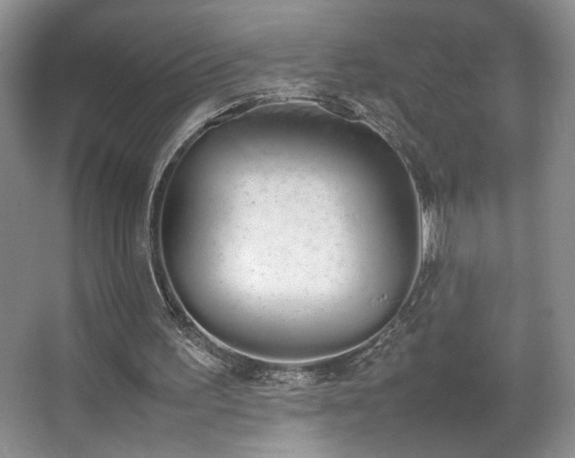 X0000067870195200604131245