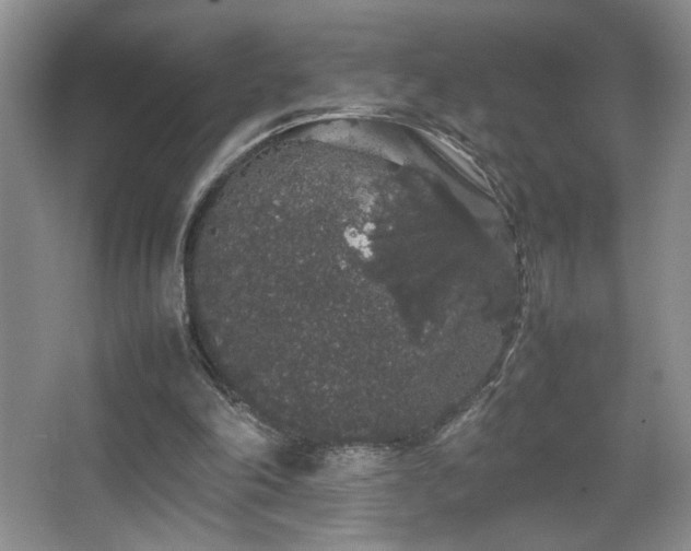 X0000067870198200604131245