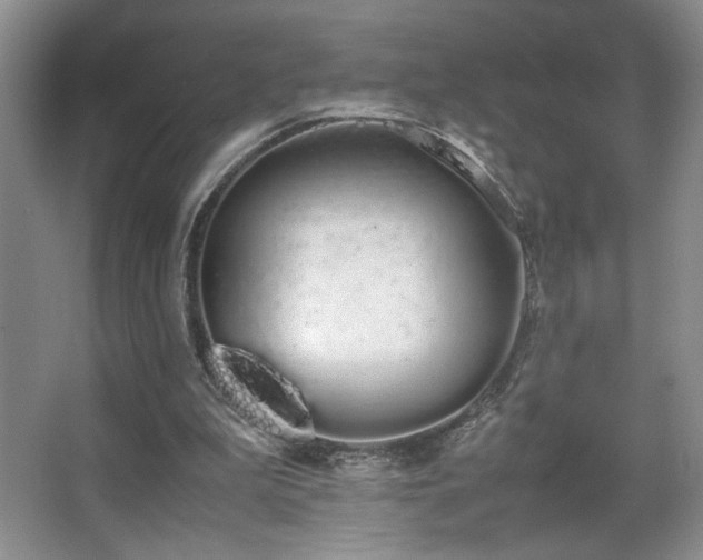 X0000067870199200604131245