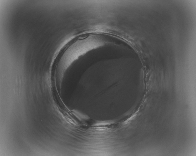 X0000067870200200604131245