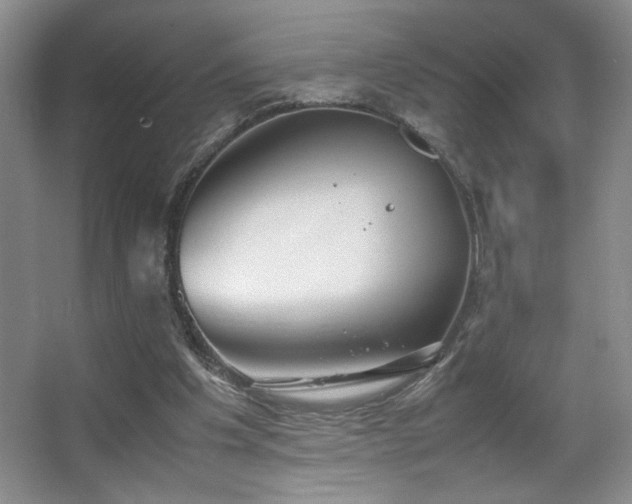 X0000067870201200604131245