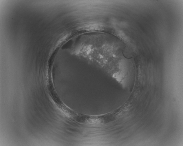 X0000067870202200604131245