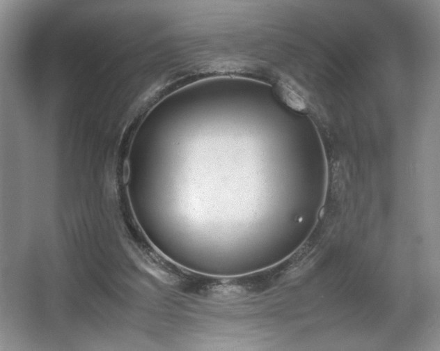 X0000067870203200604131245