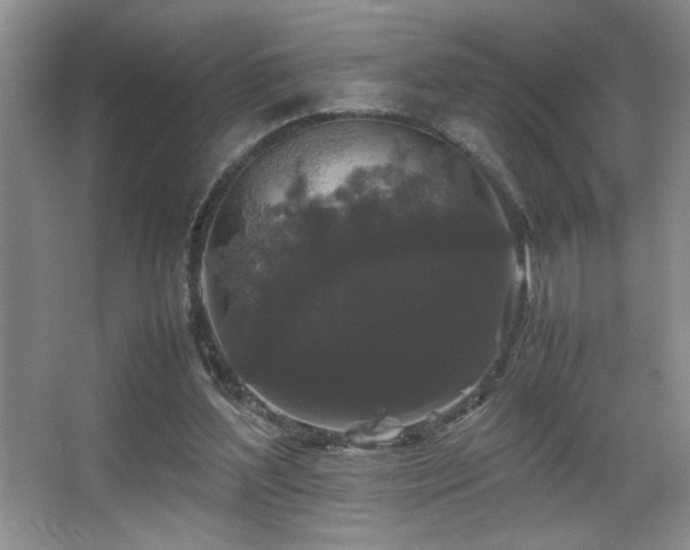 X0000067870204200604131245