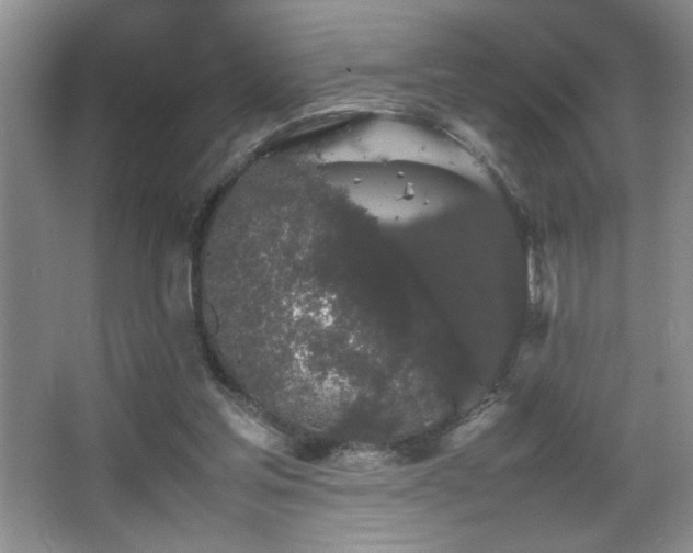 X0000067870205200604131245