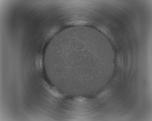 X0000067870206200604131245