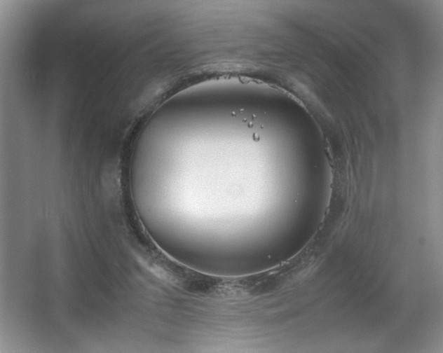 X0000067870207200604131245