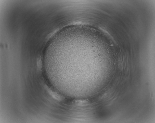 X0000067870208200604131245