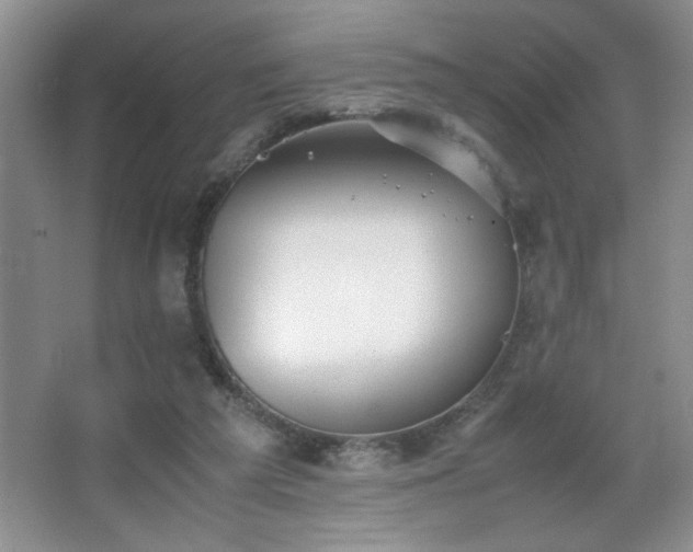 X0000067870209200604131245