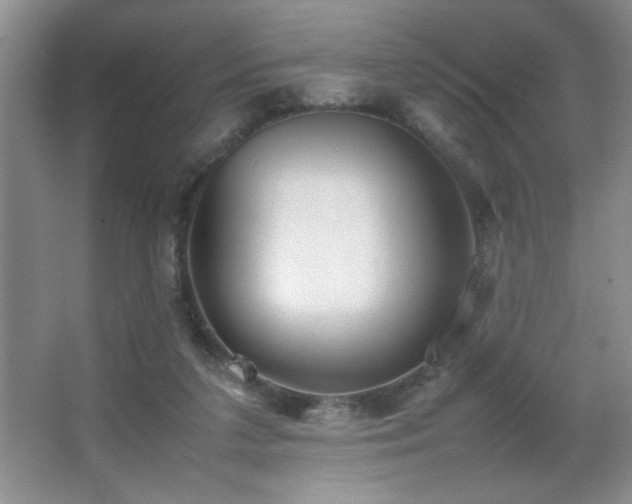 X0000067870211200604131245