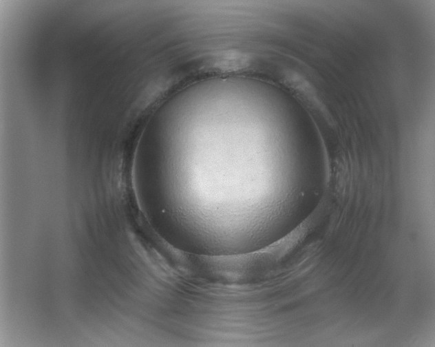 X0000067870212200604131245