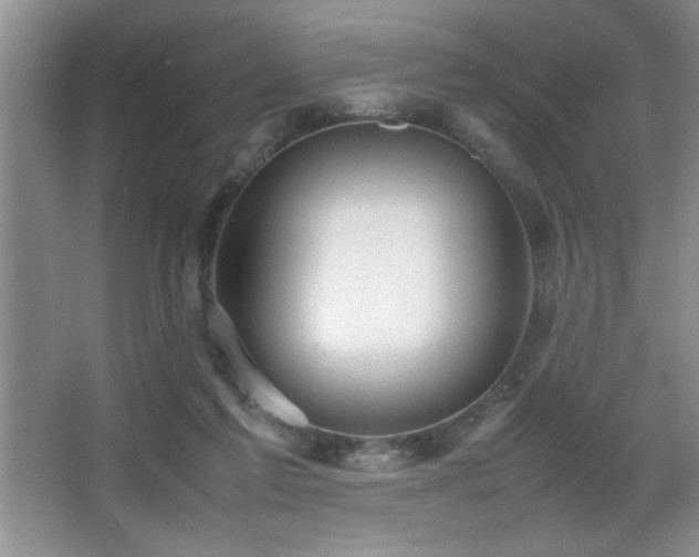 X0000067870213200604131245