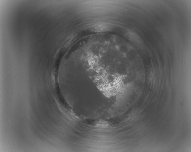 X0000067870214200604131245