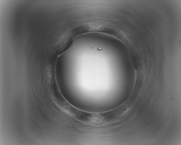 X0000067870215200604131245