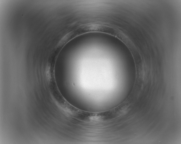 X0000067870216200604131245