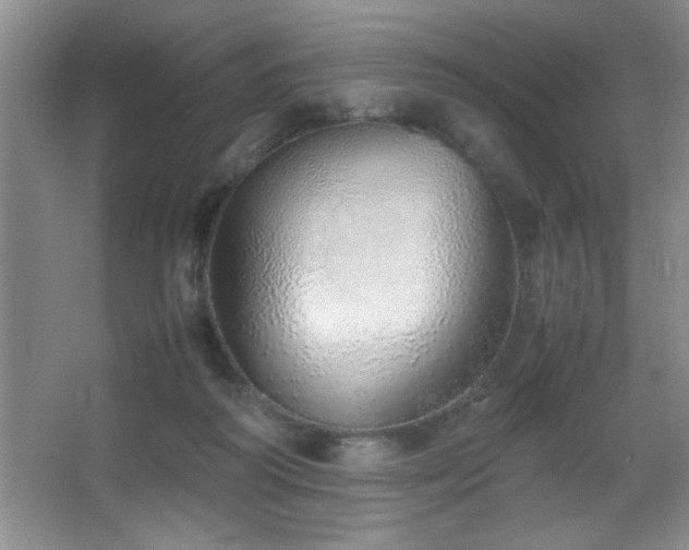 X0000067870218200604131245