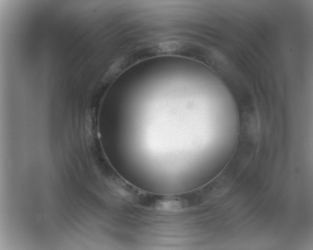 X0000067870220200604131245