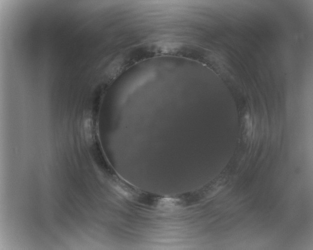 X0000067870222200604131245