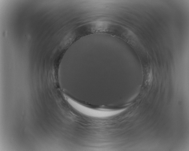 X0000067870224200604131244