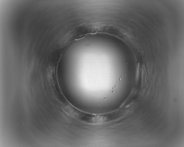 X0000067870225200604131244