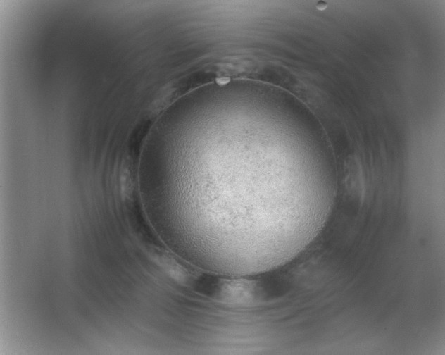 X0000067870226200604131244