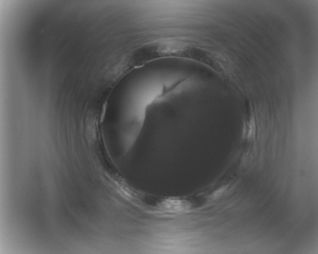 X0000067870227200604131244