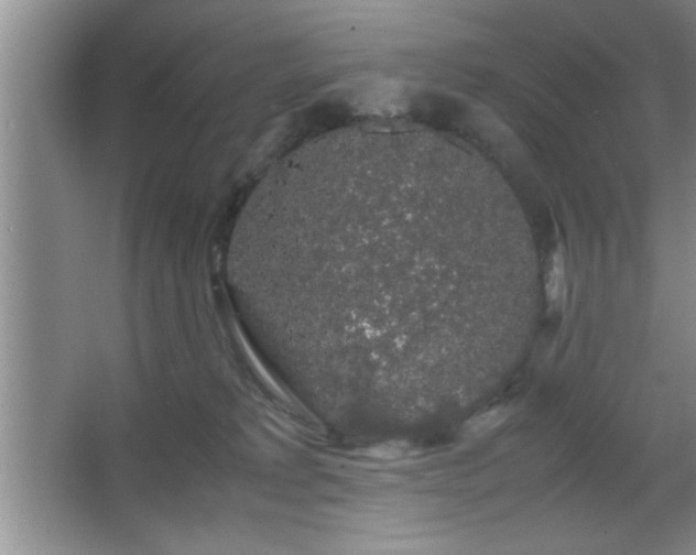 X0000067870229200604131244