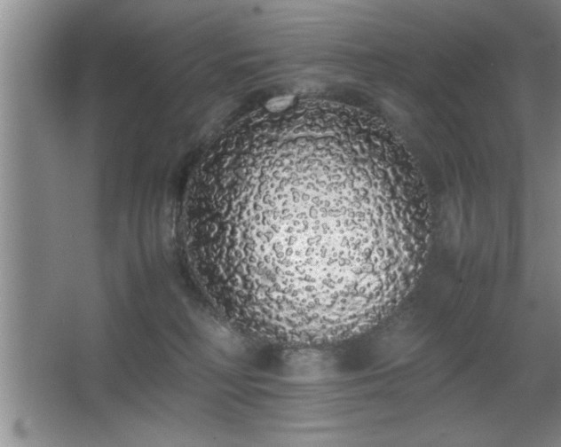 X0000067870230200604131244