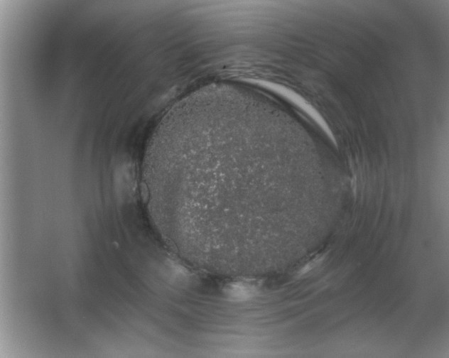 X0000067870232200604131244