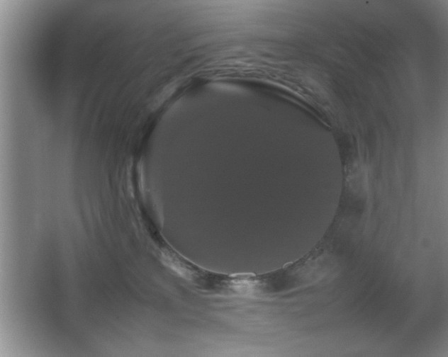 X0000067870233200604131244