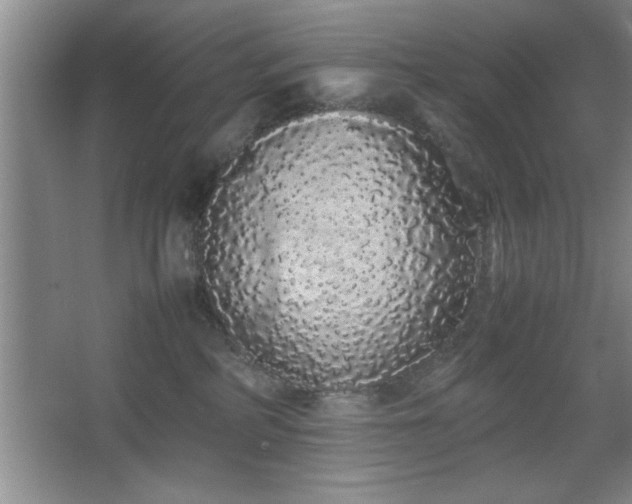 X0000067870234200604131244