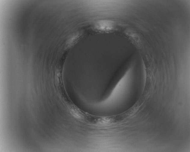 X0000067870235200604131244