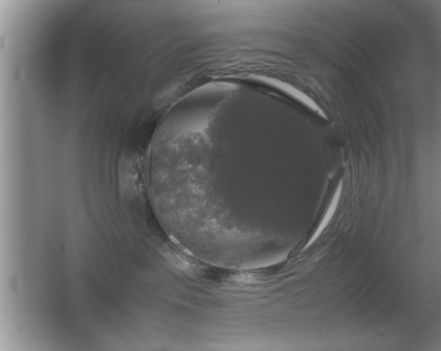 X0000067870237200604131244