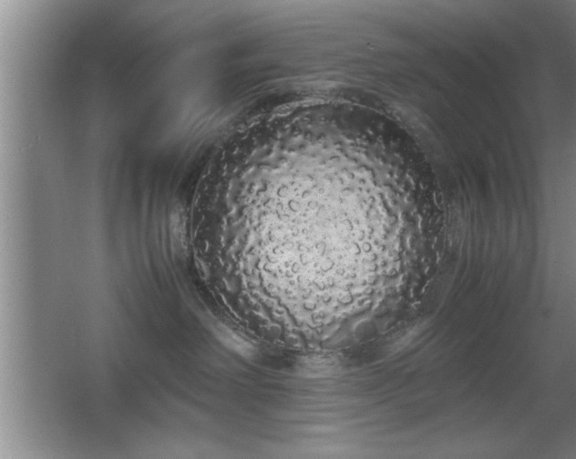 X0000067870238200604131244