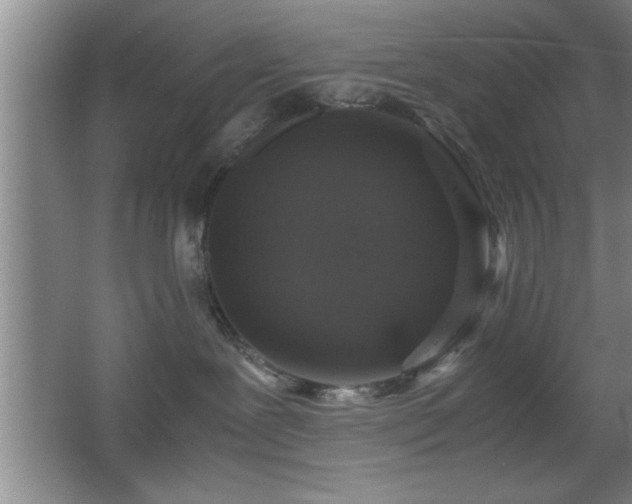 X0000067870239200604131244