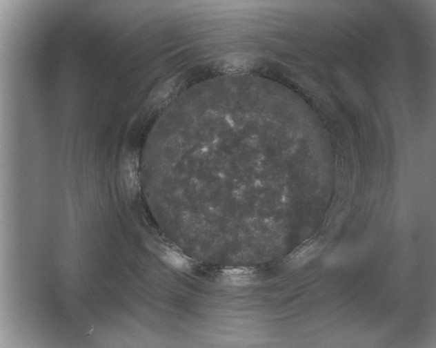 X0000067870240200604131244